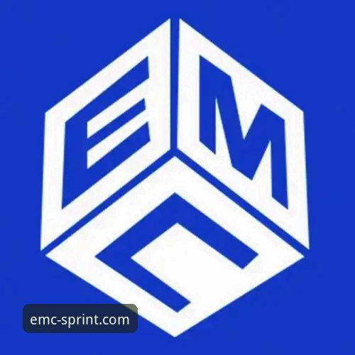EMC体育官方网站入口对比评测：手机App与网页版哪个更值得选择？