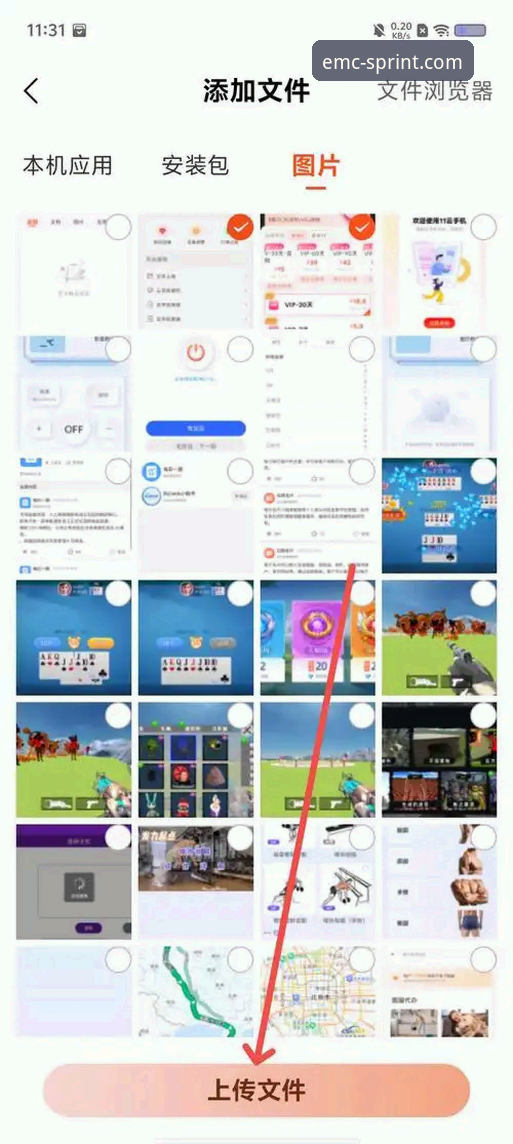 深度揭秘EMC体育手机App攻略：老用户教你玩转移动投注的隐藏技巧
